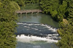 IMG_2578.jpg