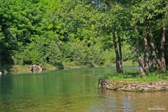 IMG_7608.jpg