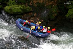 IMG_1518.jpg
