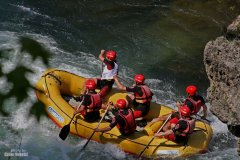IMG_1549.jpg