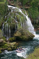 IMG_4407.jpg
